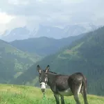 Le Megevan La Giettaz