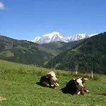 Oda ve Kahvaltı Le Megevan 3*