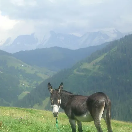 Le Mègevan D'alpage à 1550m La Giettaz