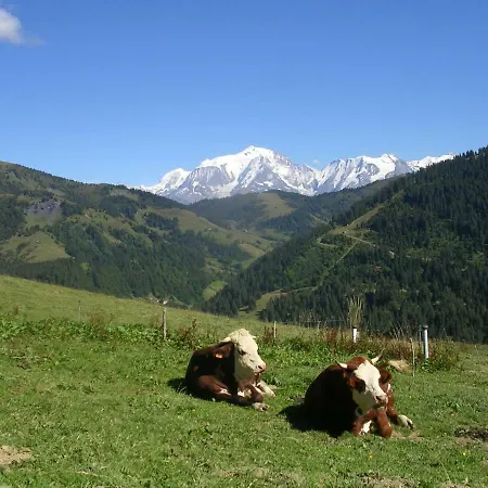 Отель типа 